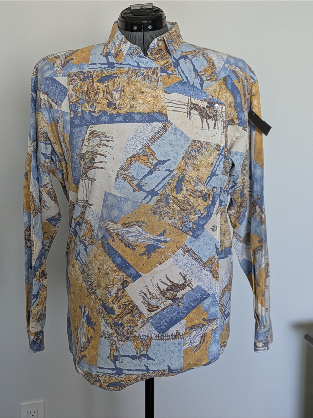 Men's Long-Sleeve Western Print Shirt in Blue & Tan